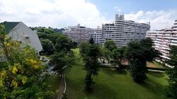 pandan-valley photo thumbnail #1
